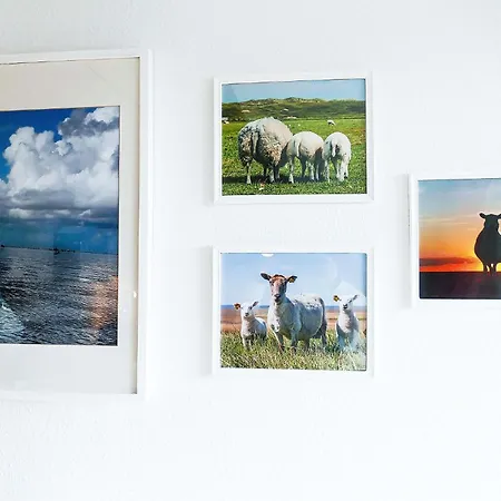 Land Und Lm23 Apartment Cuxhaven